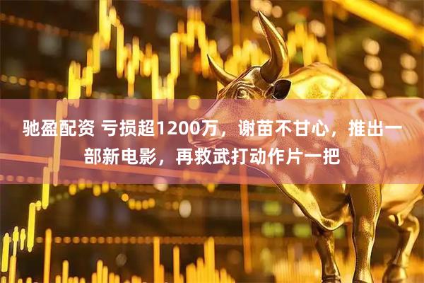 驰盈配资 亏损超1200万，谢苗不甘心，推出一部新电影，再救武打动作片一把