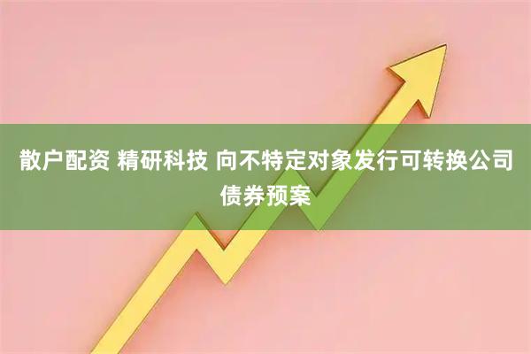 散户配资 精研科技 向不特定对象发行可转换公司债券预案