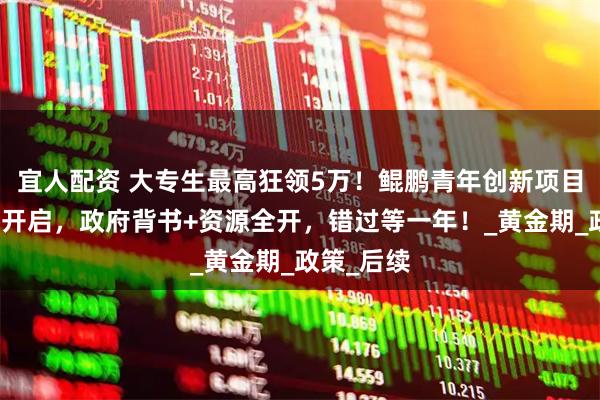 宜人配资 大专生最高狂领5万！鲲鹏青年创新项目申报即将开启，政府背书+资源全开，错过等一年！_黄金期_政策_后续