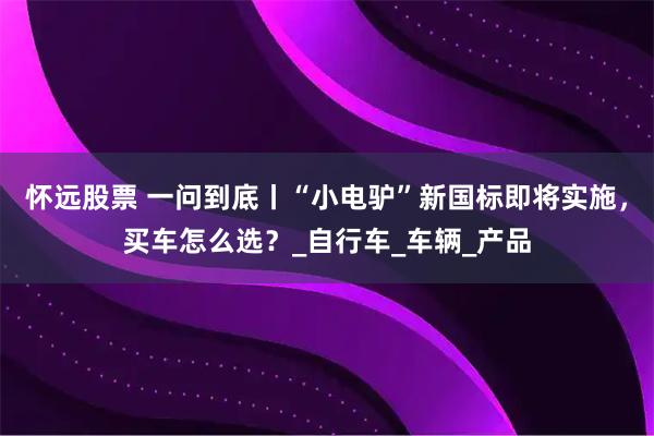 怀远股票 一问到底丨“小电驴”新国标即将实施，买车怎么选？_自行车_车辆_产品
