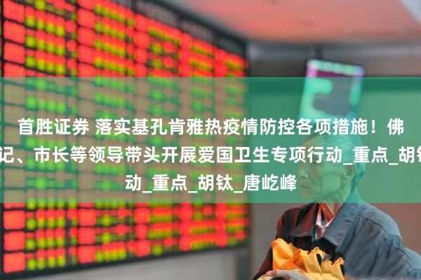 首胜证券 落实基孔肯雅热疫情防控各项措施！佛山市委书记、市长等领导带头开展爱国卫生专项行动_重点_胡钛_唐屹峰