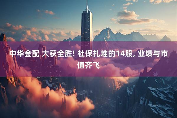 中华金配 大获全胜! 社保扎堆的14股, 业绩与市值齐飞